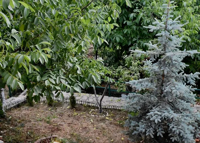 Jacuzzi With Panoramic View Relax Maison Holiday home *